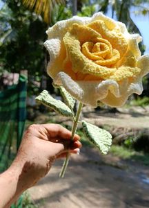 Thai Rose In Yellow