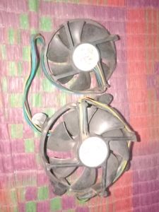 Fan