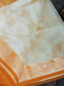 Saree Without Blouse