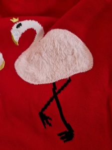 Red Flamingo Sweater