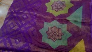 Brasso Saree With Golden Border Design