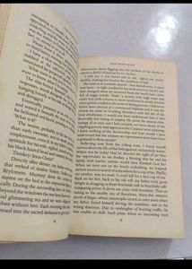 The Olive Tree Novel