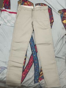 Beige Casual Pants