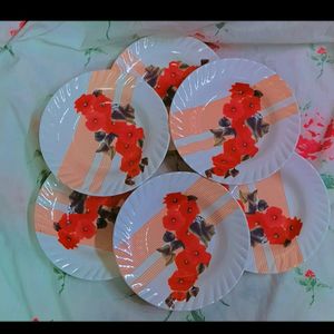 Fiber Plates 🍽️