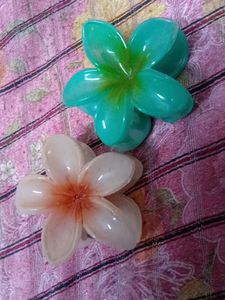 Claw Clips