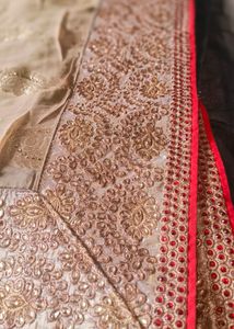 Regal Beige Saree Zardosi and Black Net Accents