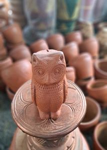 The Owl