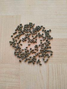 Butterfly / Aprajita Seeds
