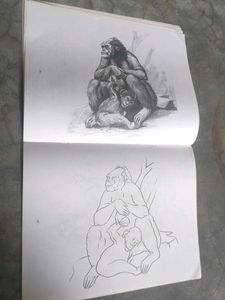 pencil shading/cushions