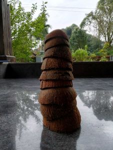 Pure Natural Coconut Shell