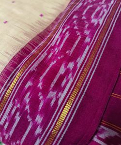 Cotton Odisha Sambhalpuri handloom saree