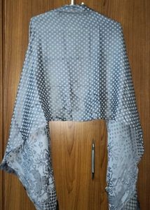 Elegant Scarf / Stole Set Of 2