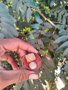 Miniature Clay Food Set