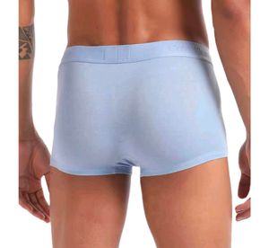 Calvin Klein Blue Trunk