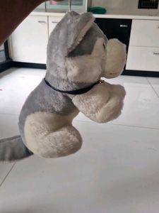 Dog Soft Toy