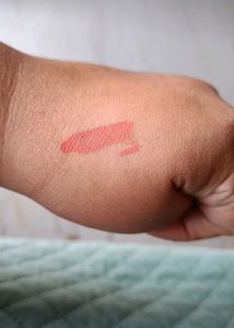 Plum Matte Liquid Lipstick