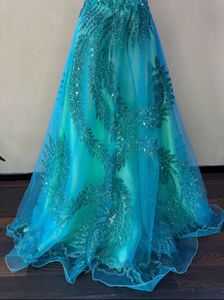 Luxury Frozen Blue Embellished Gown