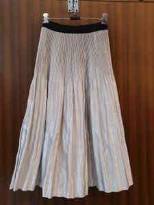 Silver Skirt