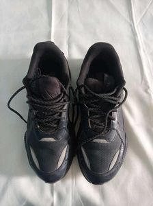 Men Shoes