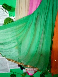 Colorful Dupatta Scarf Collection
