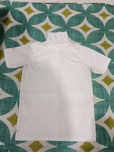 M Size Collar T-shirt