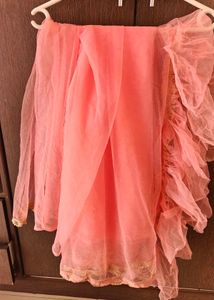 New Peach Net Saree