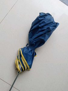 New Blue Umbrella