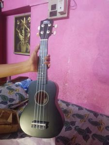 Intern Ukulele with Case