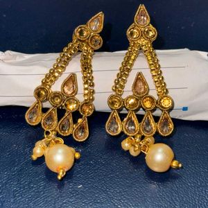Elegant Gold Tone Earrings