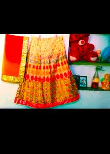 Women Butterfly Lehenga Choli Same As Picture