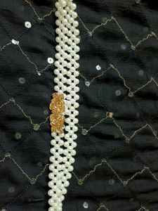 Hip Belt