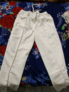 Cream Casual korean Pant/Trouser