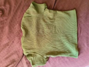 Walt Disney World Olive Green crop Tee