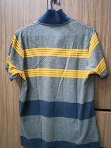 Striped Polo T-Shirt