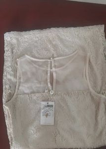 Gorgeous Beige lace and beadwork dress