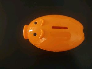Piggy Bank/Coin Bank