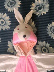 5 Year Old Rabbit Dress