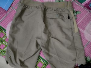 Olive Green Shorts