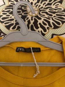 Zara Crop Top