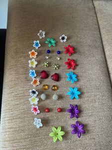Earring Lot