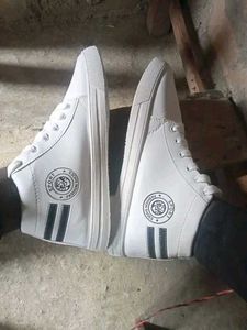 Aadab Fabulous Men Casual Shoes