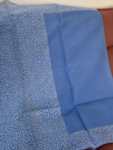 Sky Blue Saree