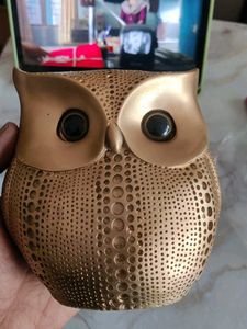 Beautiful Owl For Home Decor