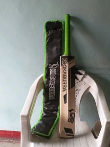 Kookaburra Cricket Bat 8 Grains