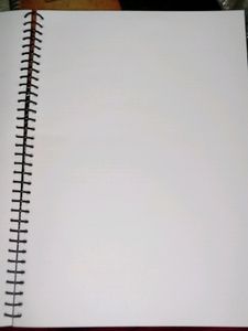 Paperisto Spiral Notebook (Pack Of 2)