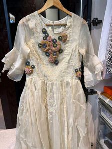 Elegant Embroidered Dress