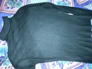 Turtle Neck Top