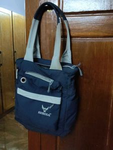 Combo Of Two Bags