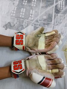 Ss Gloves Cricket