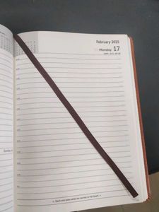 A good new diary year is 2025